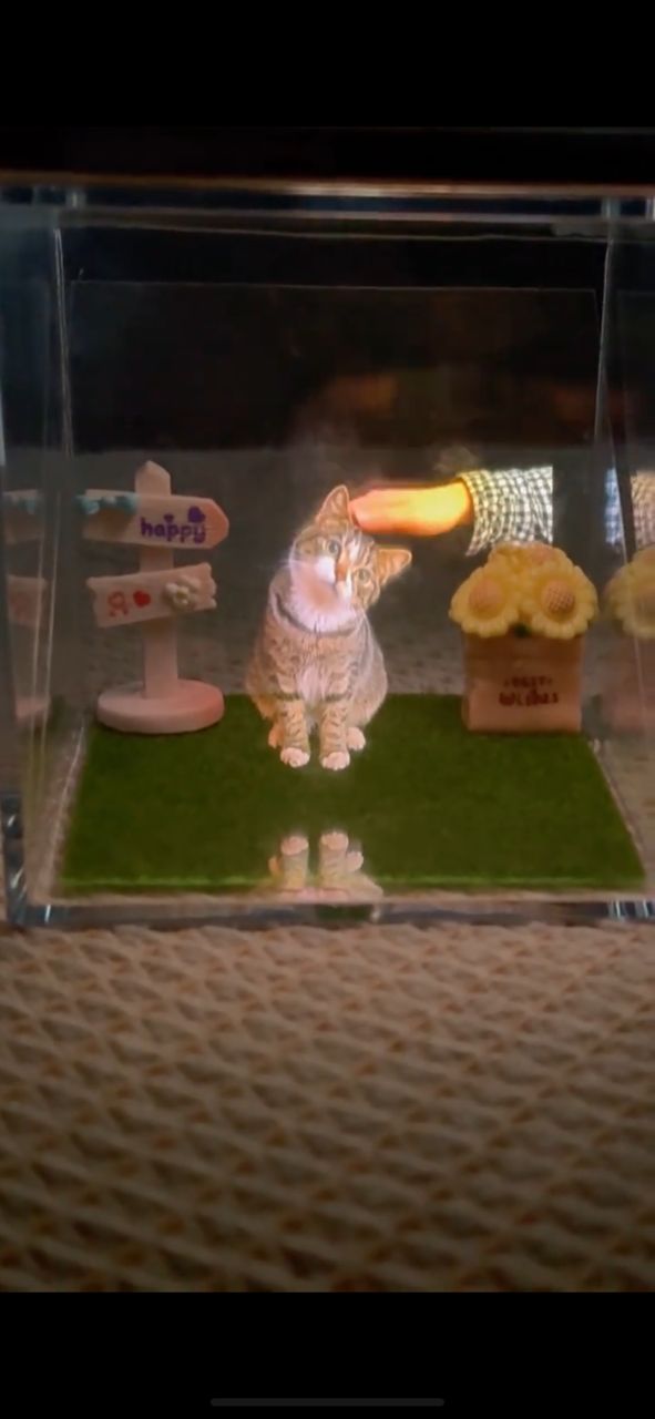 PET HOLOGRAPHIC MEMORIAL BOX
