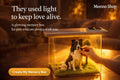 PET HOLOGRAPHIC MEMORIAL BOX